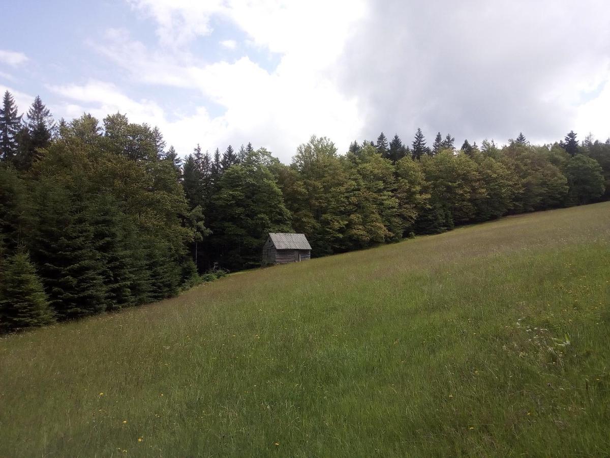 Alm-House Hollmann Appartement Železná Ruda Buitenkant foto
