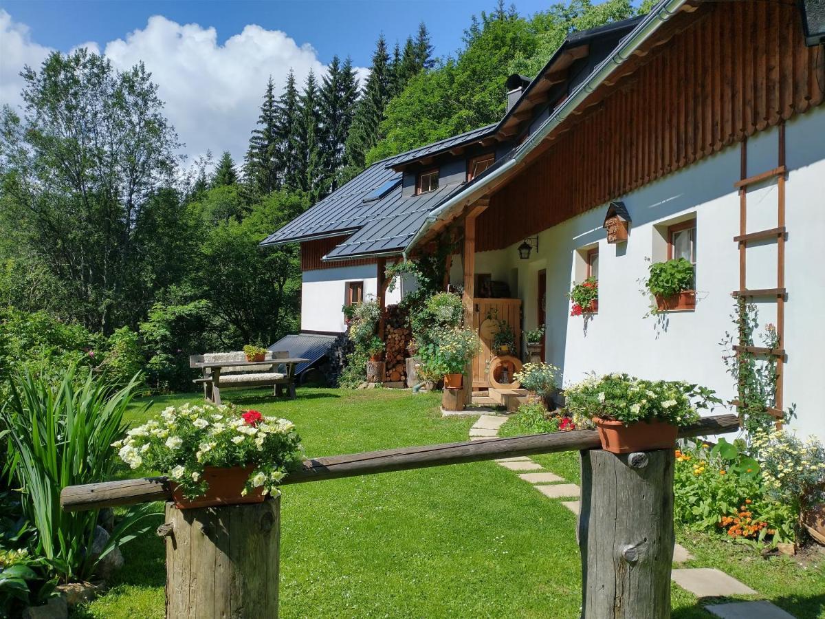 Alm-House Hollmann Appartement Železná Ruda Buitenkant foto
